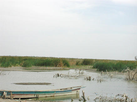 Tchadsjön