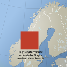 Regnskogen blir mindre